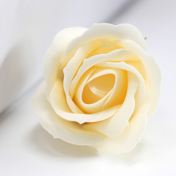 Bath roses ivory.