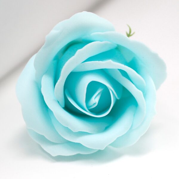 Bath roses baby blue.