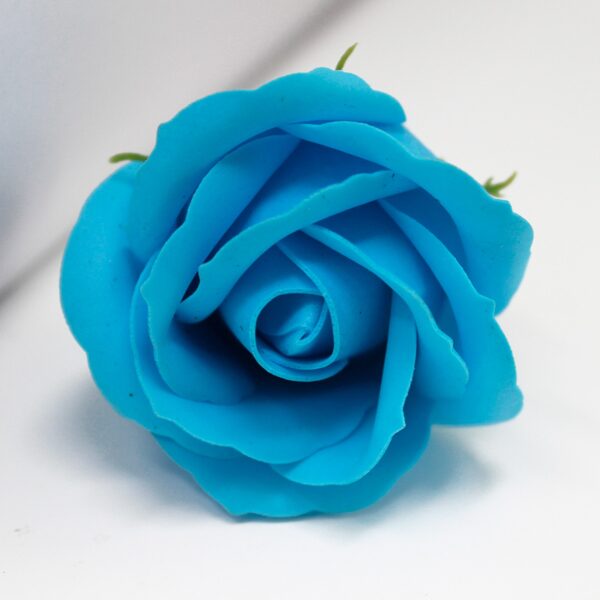 Bath roses sky blue.