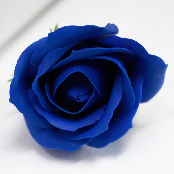 Bath roses royal blue.