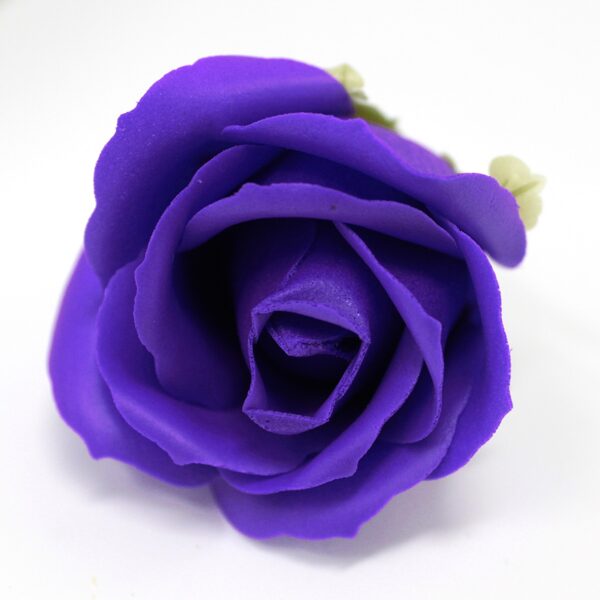 Bath roses violet.