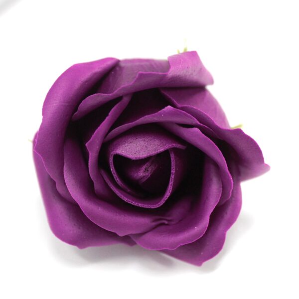 Bath roses deep violet.