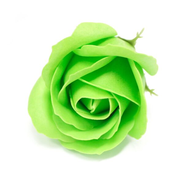 Bath roses green.