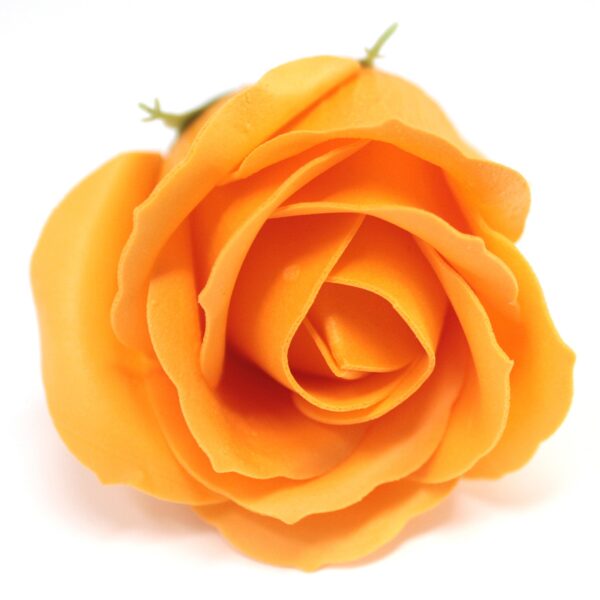 Bath roses orange.